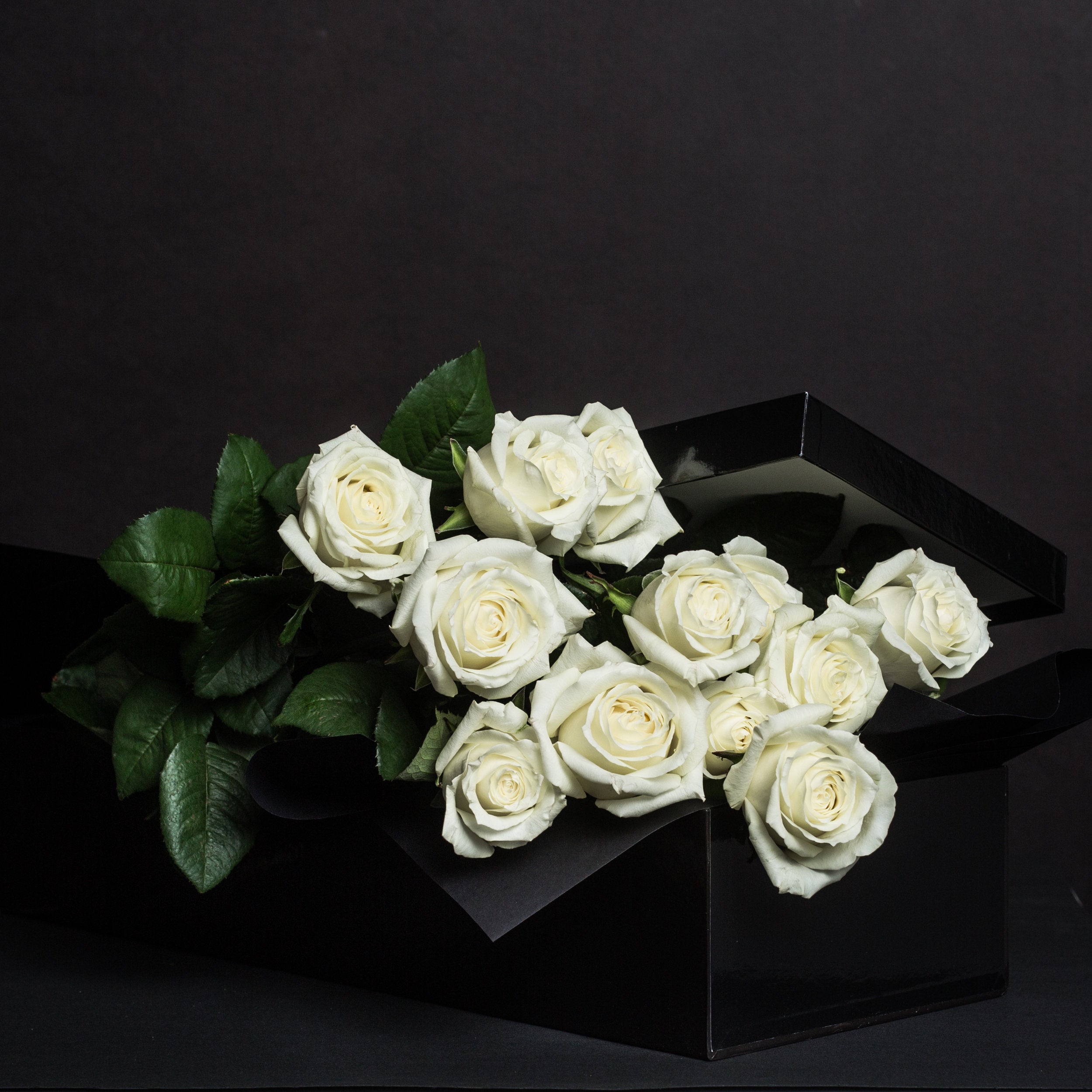 Embracing the Chill: A Guide to Winter Flowers in Brisbane